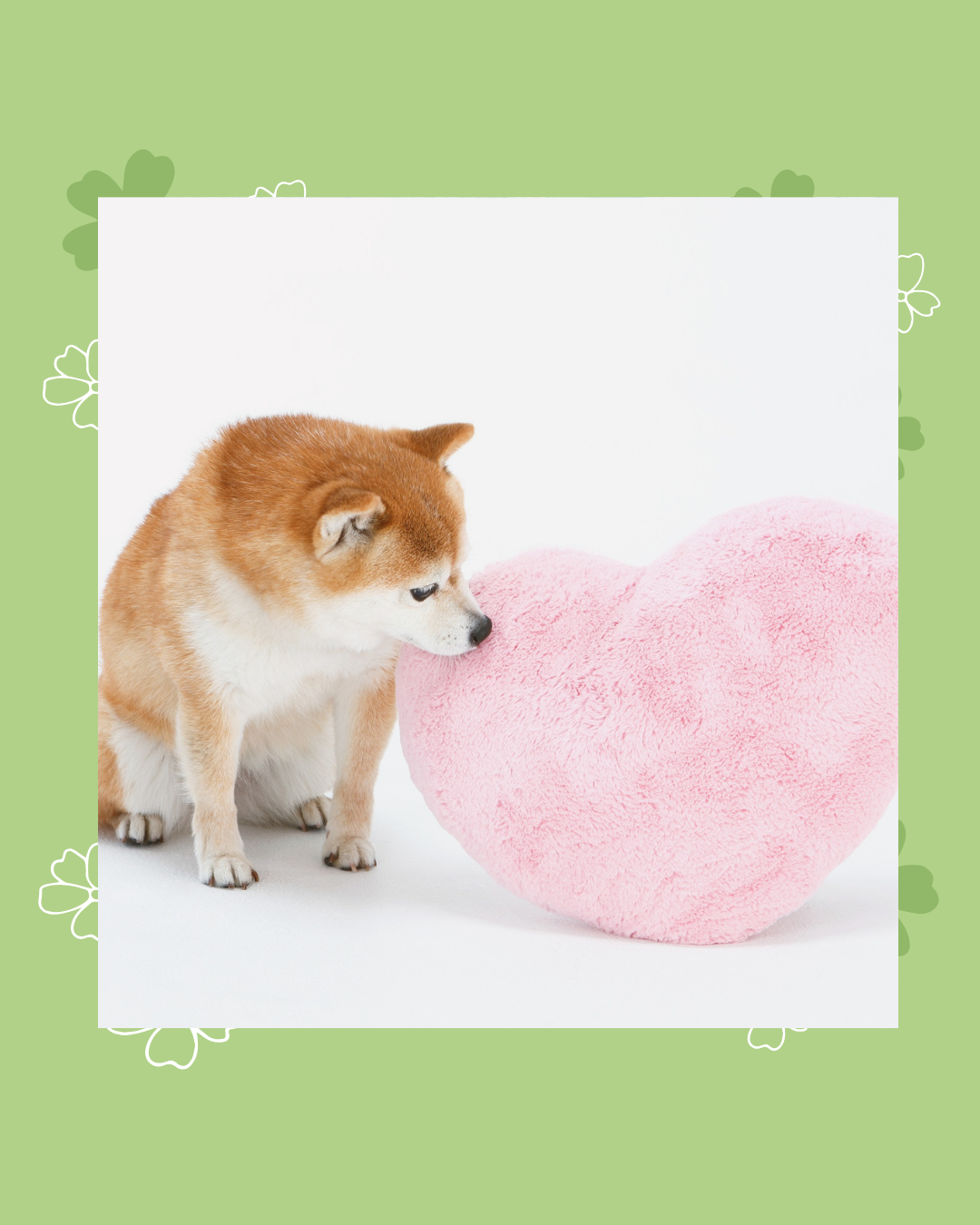 わたしの癒し