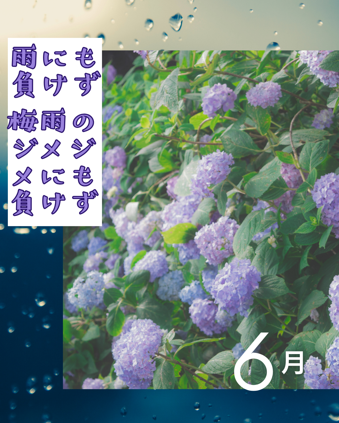 雨にも負けず、梅雨のジメジメにも負けず